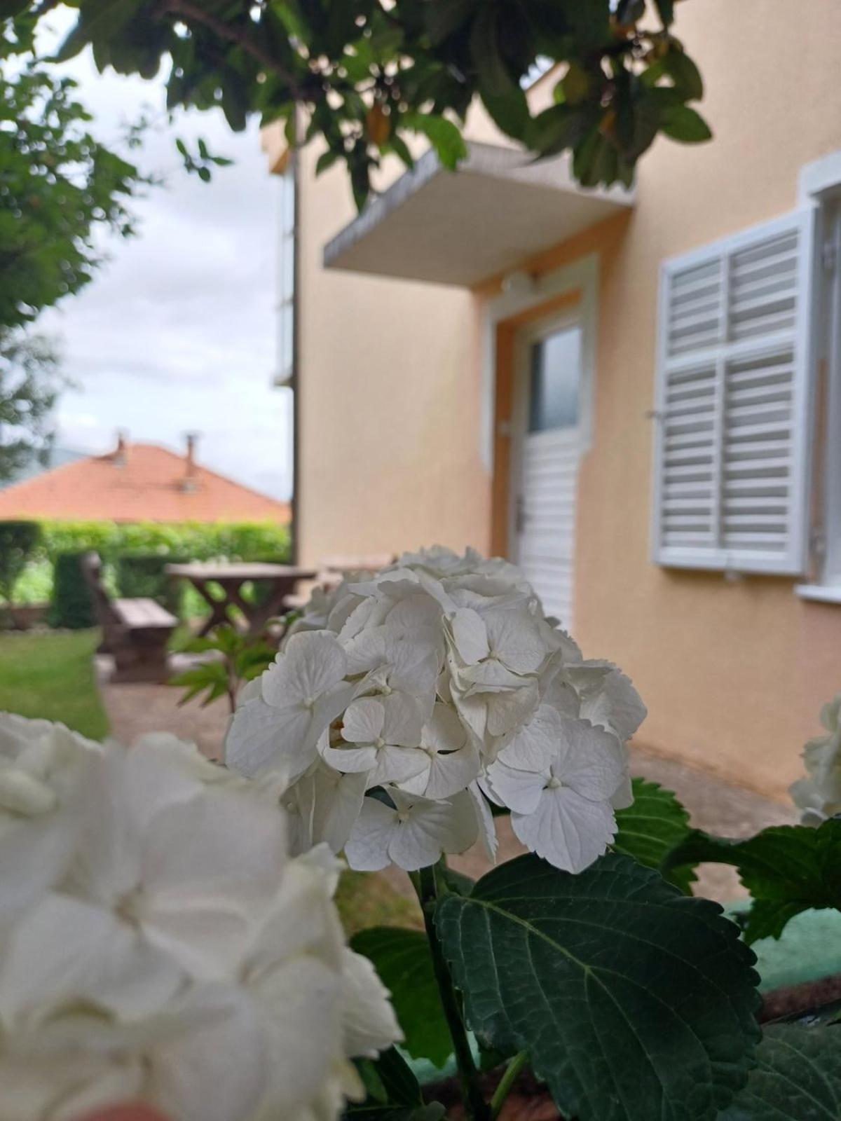 Apartments For Friends Trebinje Kültér fotó